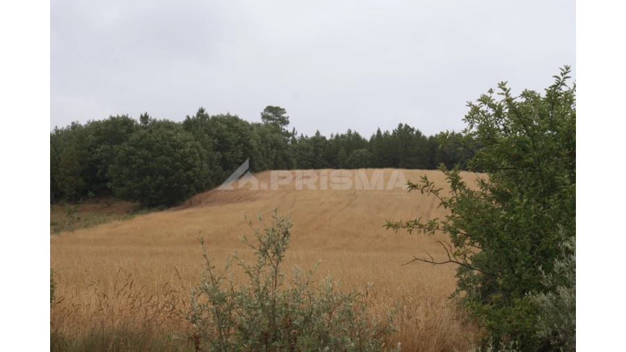 Terreno para Venda em Póvoa de Atalaia e Atalaia do Campo Foto 1