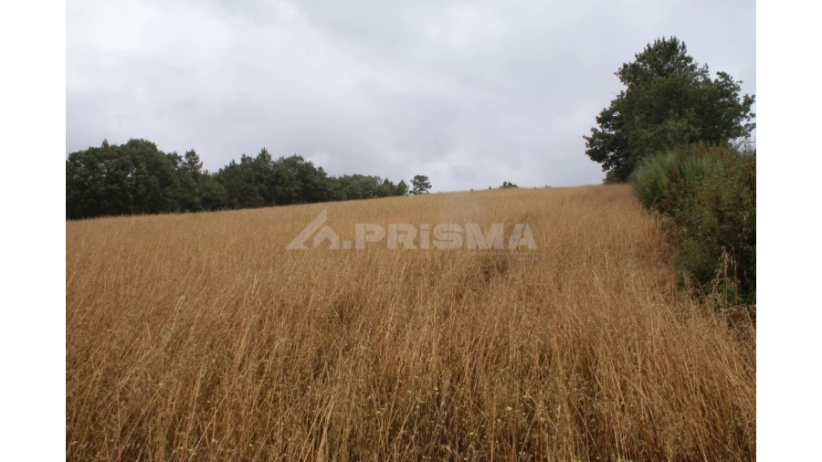Terreno para Venda em Póvoa de Atalaia e Atalaia do Campo Foto 5