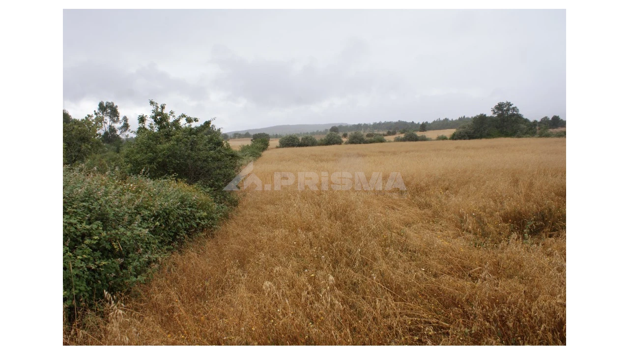 Terreno para Venda em Póvoa de Atalaia e Atalaia do Campo Foto 2