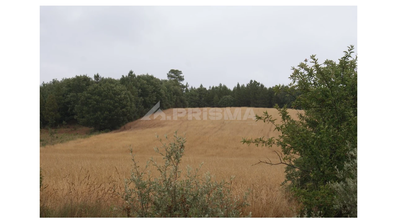 Terreno para Venda em Póvoa de Atalaia e Atalaia do Campo Foto 1