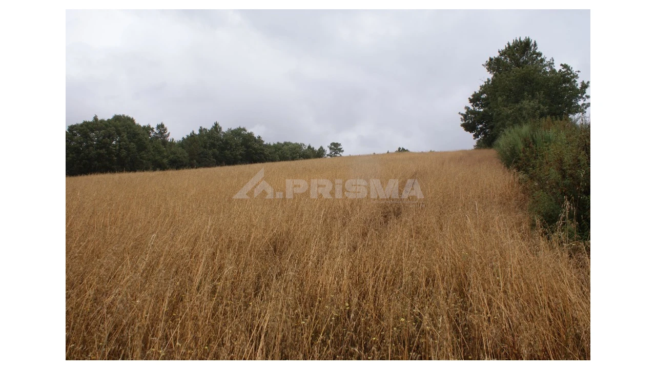 Terreno para Venda em Póvoa de Atalaia e Atalaia do Campo Foto 5