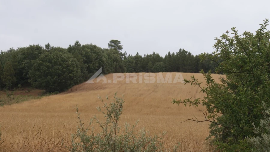 Terreno para Venda em Póvoa de Atalaia e Atalaia do Campo