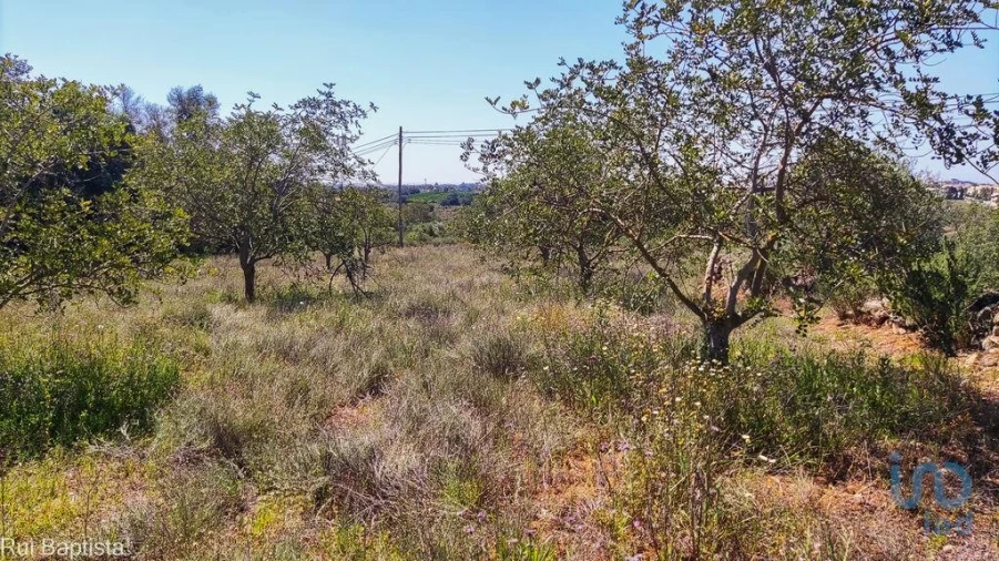 Moradia T4 para Venda em Ferreiras Foto 4