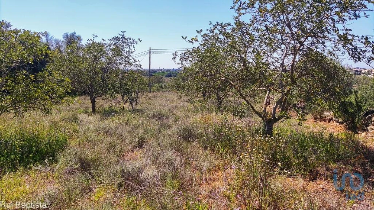 Moradia T4 para Venda em Ferreiras Foto 4