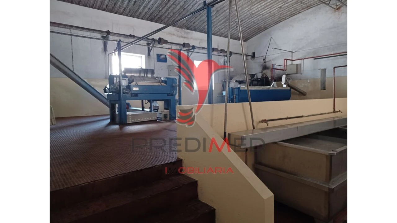 Quinta para Venda em Ponte de Sor, Tramaga e Vale de Açor Foto 9