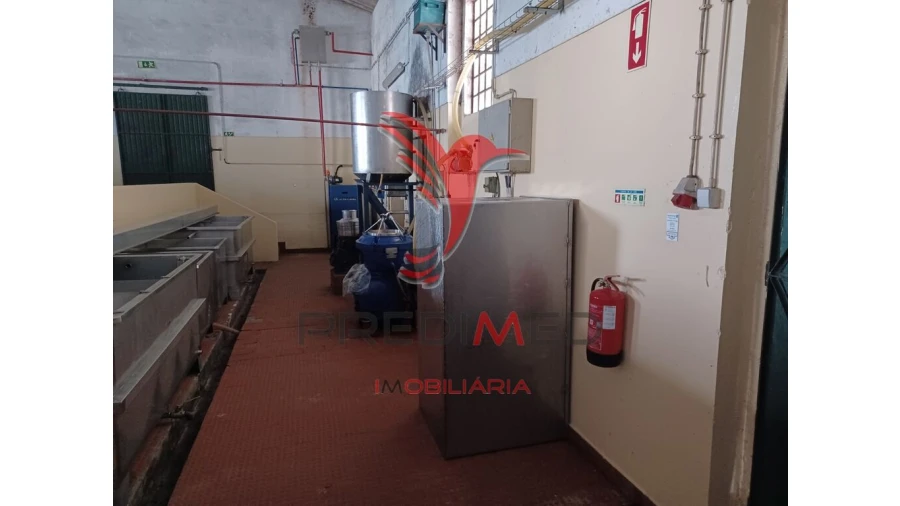 Quinta para Venda em Ponte de Sor, Tramaga e Vale de Açor Foto 8