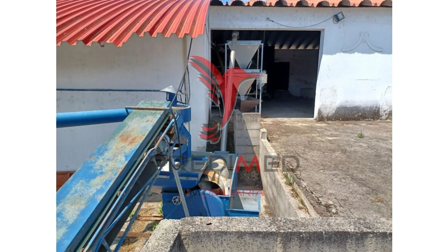 Quinta para Venda em Ponte de Sor, Tramaga e Vale de Açor Foto 5