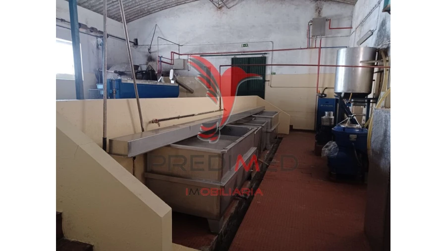 Quinta para Venda em Ponte de Sor, Tramaga e Vale de Açor Foto 10