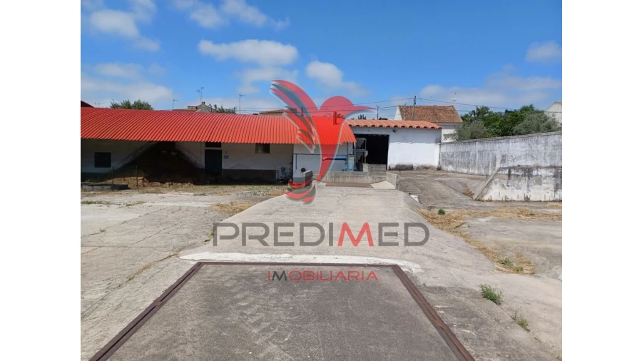 Quinta para Venda em Ponte de Sor, Tramaga e Vale de Açor Foto 3