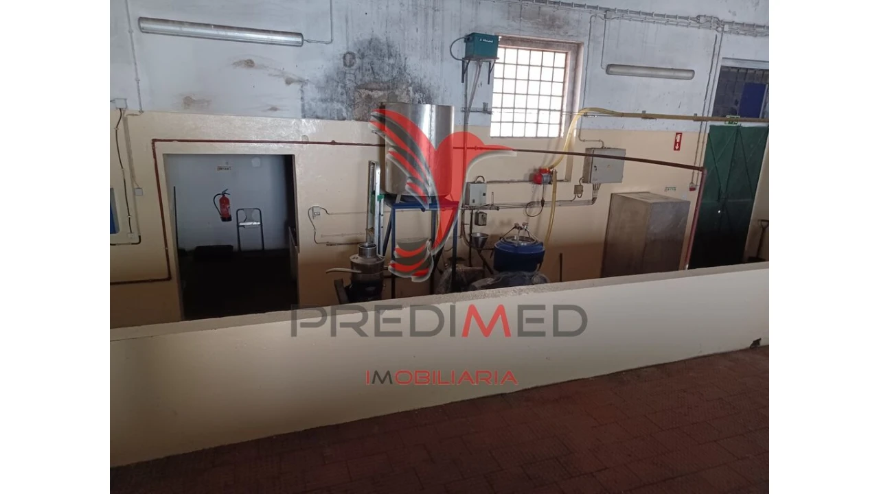 Quinta para Venda em Ponte de Sor, Tramaga e Vale de Açor Foto 7