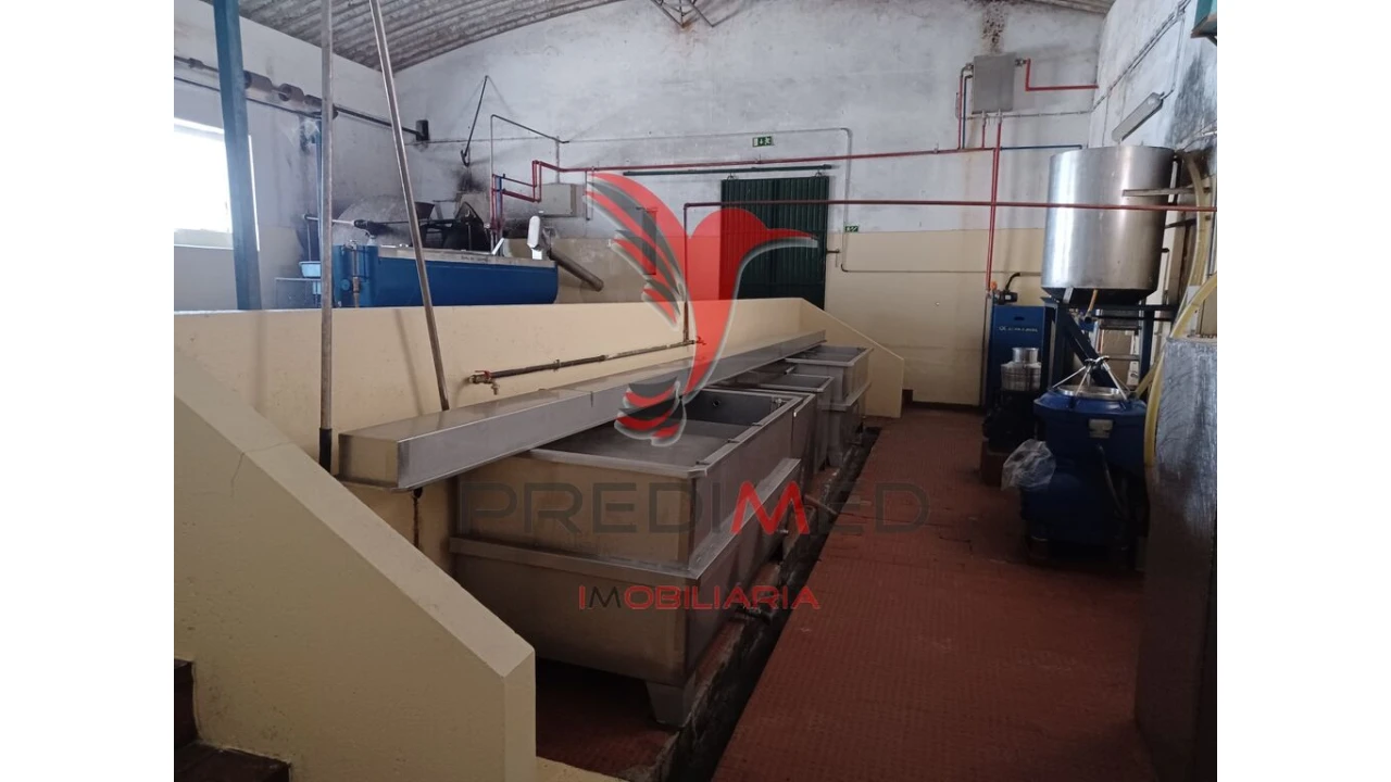 Quinta para Venda em Ponte de Sor, Tramaga e Vale de Açor Foto 10