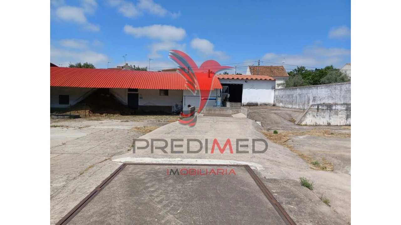 Quinta para Venda em Ponte de Sor, Tramaga e Vale de Açor Foto 3