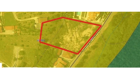 Terreno para Venda em São Martinho de Árvore e Lamarosa