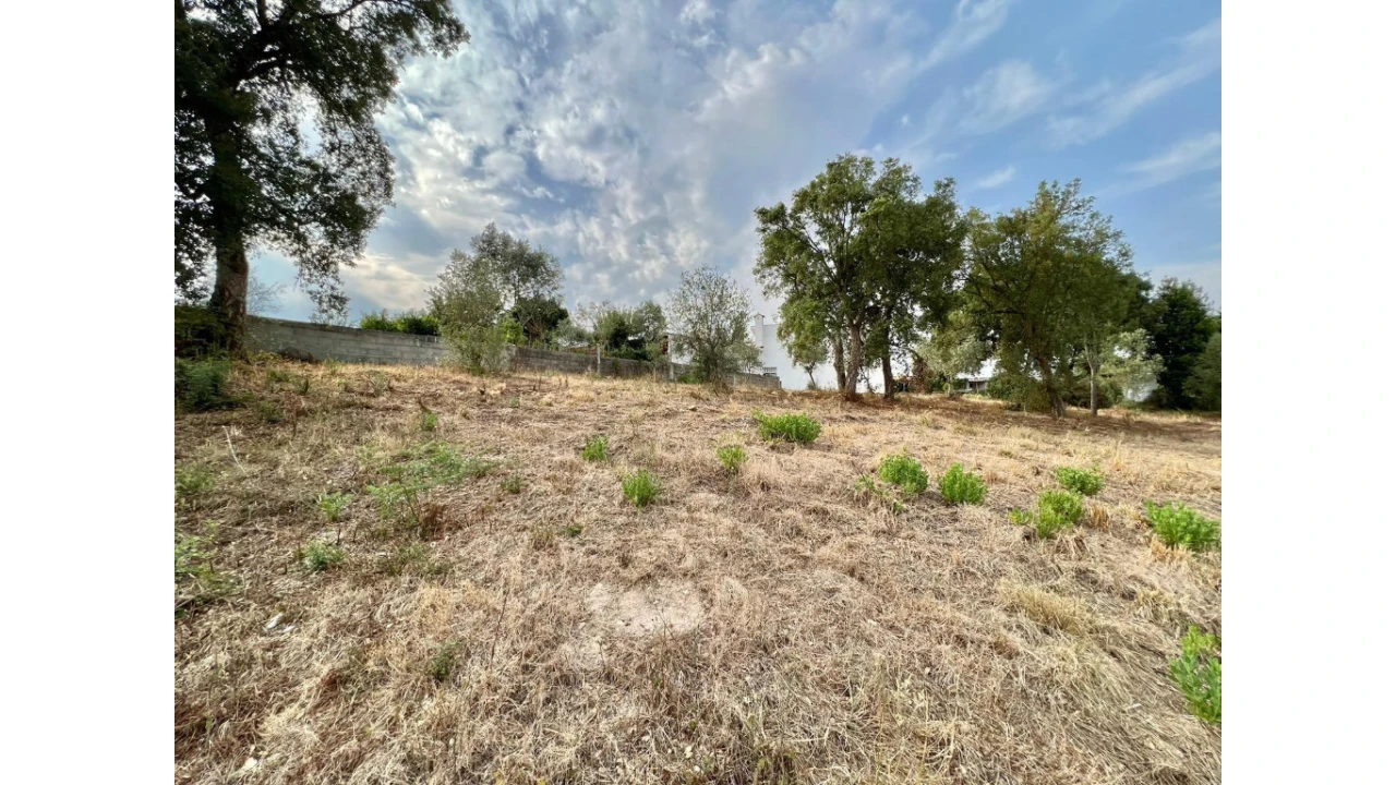 Terreno para Venda em São Martinho de Árvore e Lamarosa Foto 2