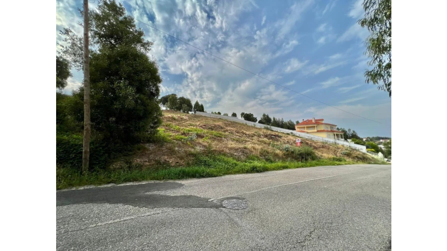 Terreno para Venda em São Martinho de Árvore e Lamarosa Foto 4