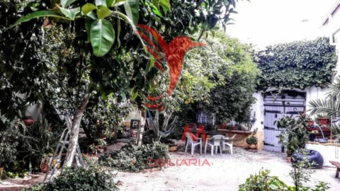 Moradia T9 para Venda em Ferreira do Alentejo e Canhestros