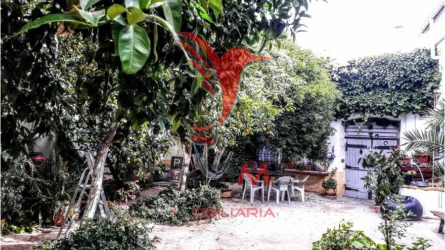Moradia T9 para Venda em Ferreira do Alentejo e Canhestros Foto 7