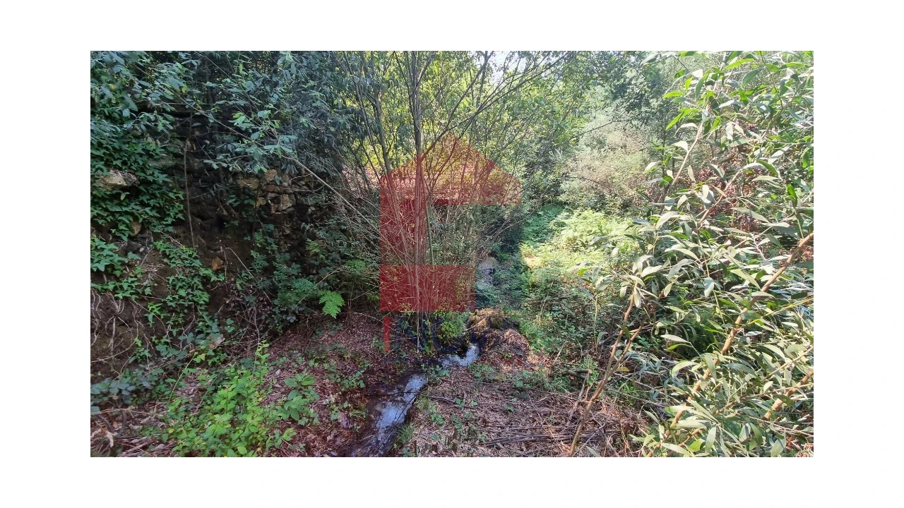 Moradia para Venda em Romarigães Foto 4