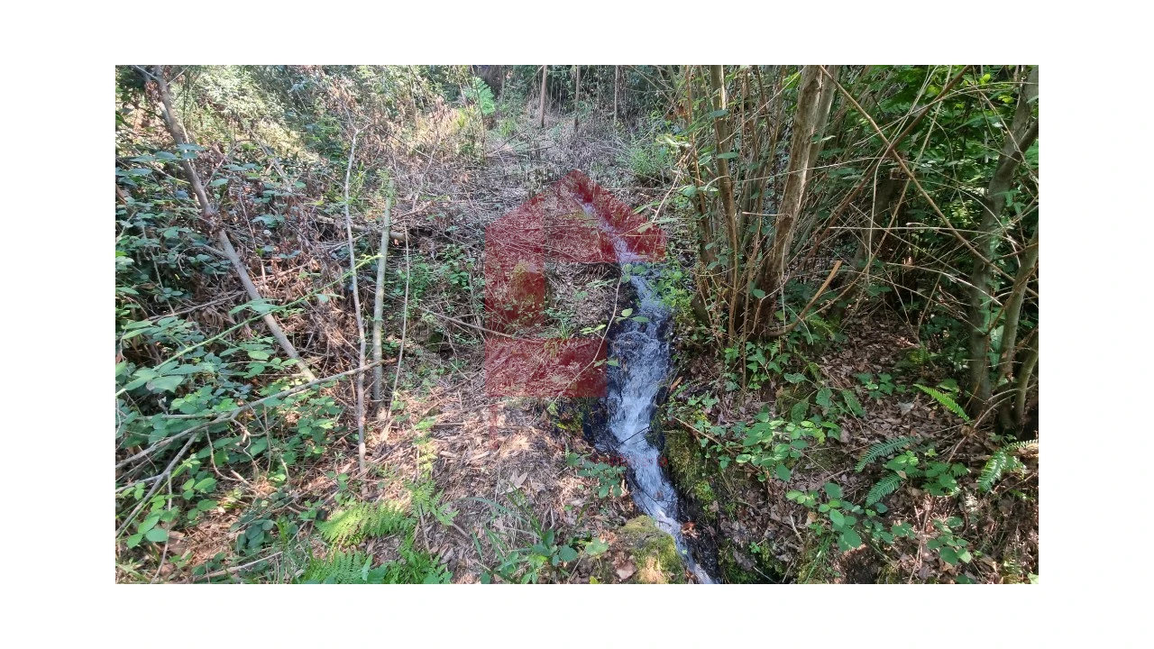 Moradia para Venda em Romarigães Foto 8