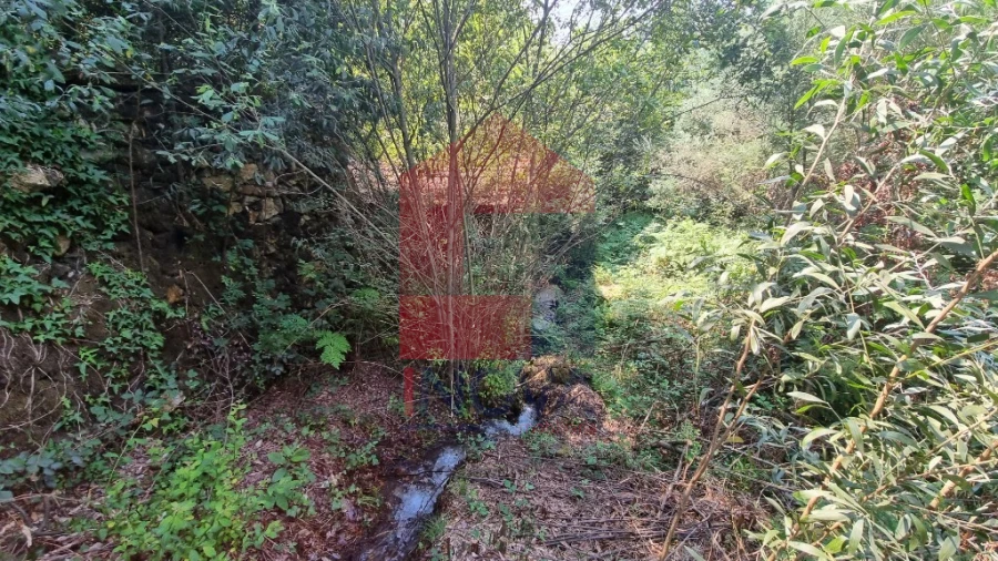 Moradia para Venda em Romarigães Foto 4