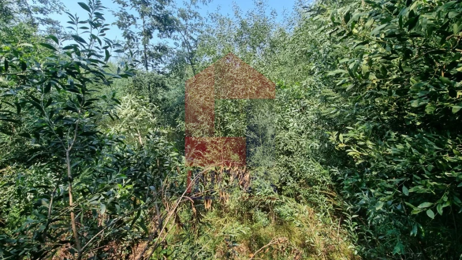 Moradia para Venda em Romarigães Foto 6