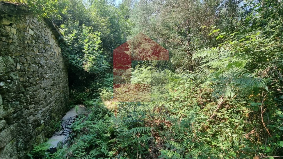 Moradia para Venda em Romarigães Foto 2