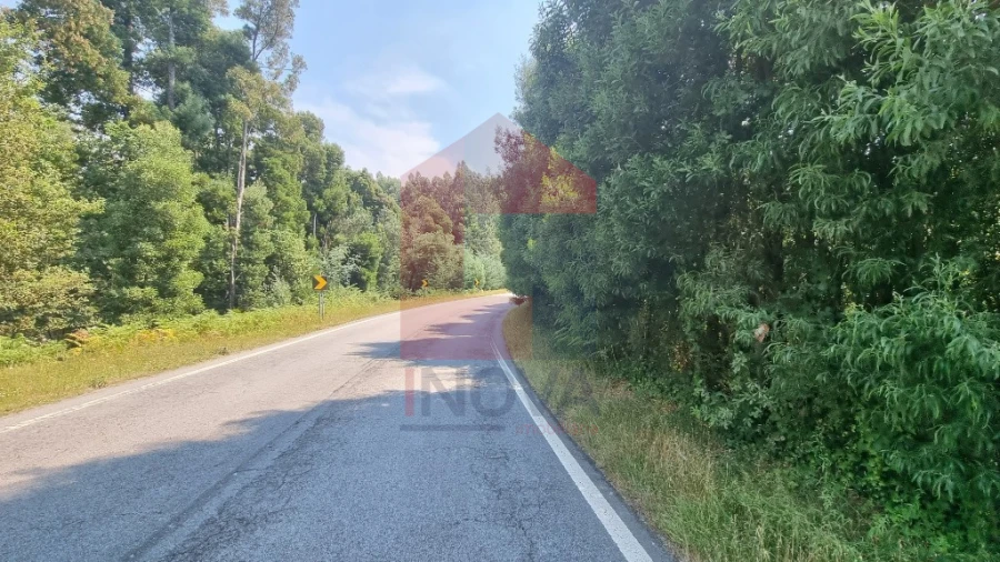 Moradia para Venda em Romarigães Foto 12