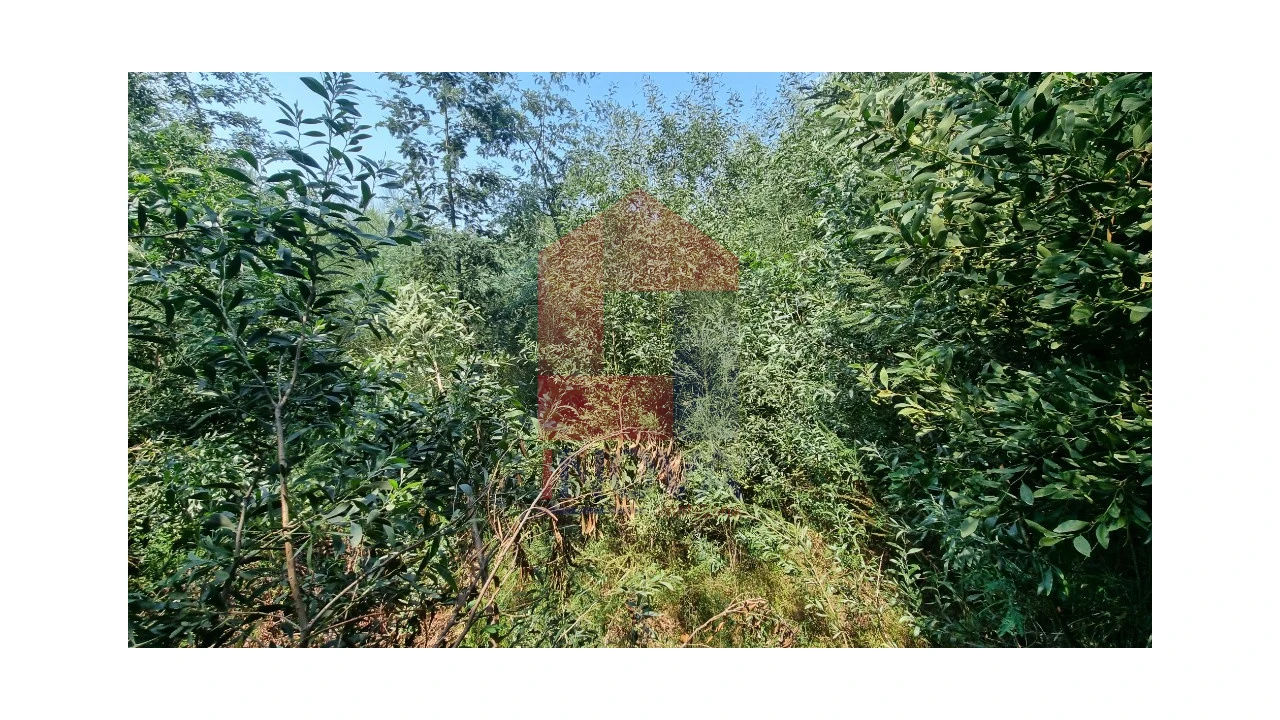 Moradia para Venda em Romarigães Foto 6