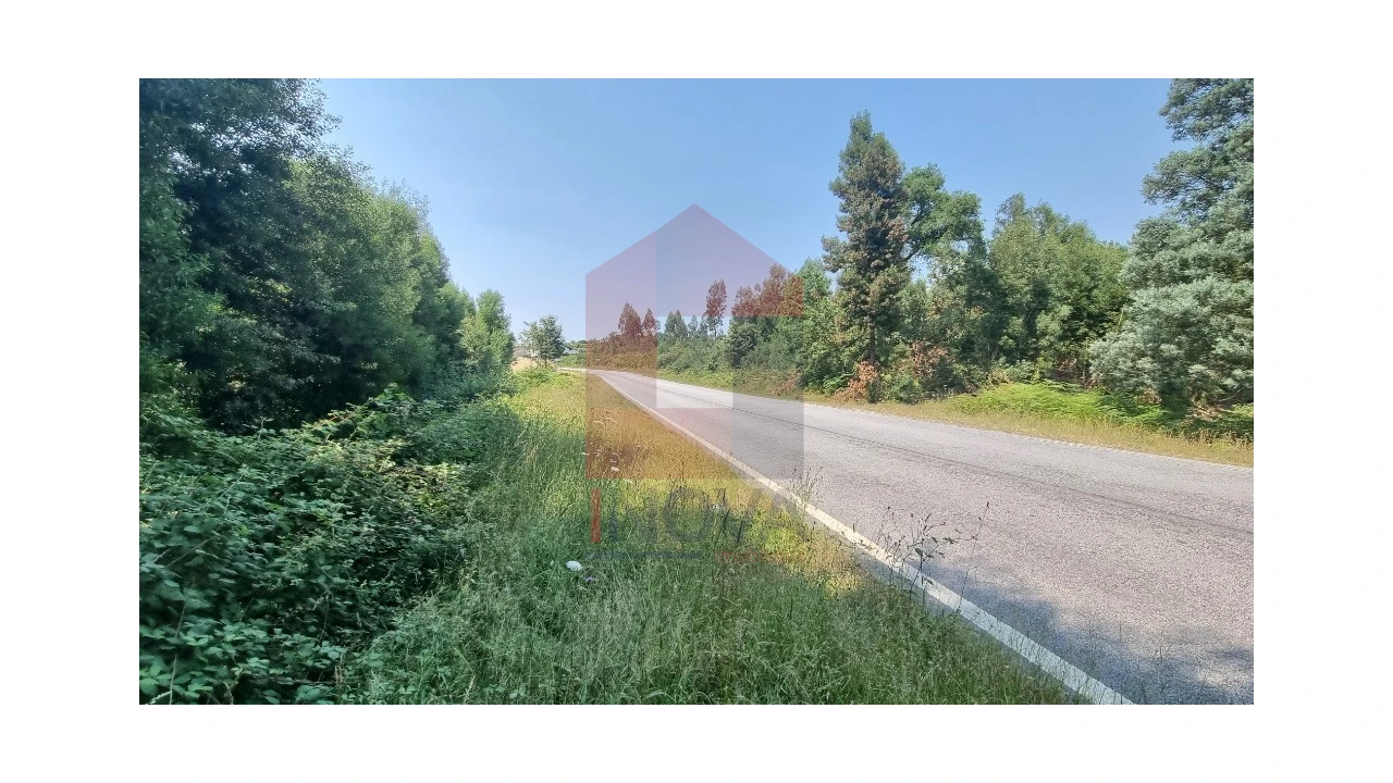 Moradia para Venda em Romarigães Foto 11