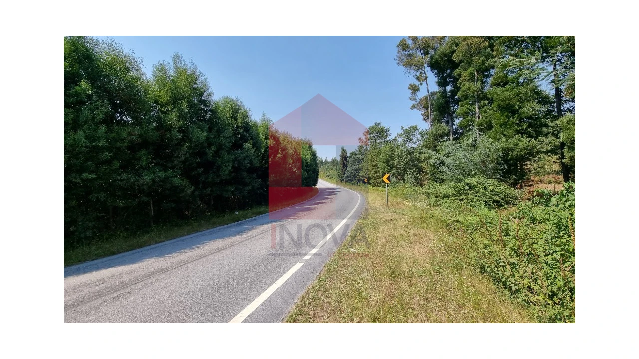 Moradia para Venda em Romarigães Foto 13