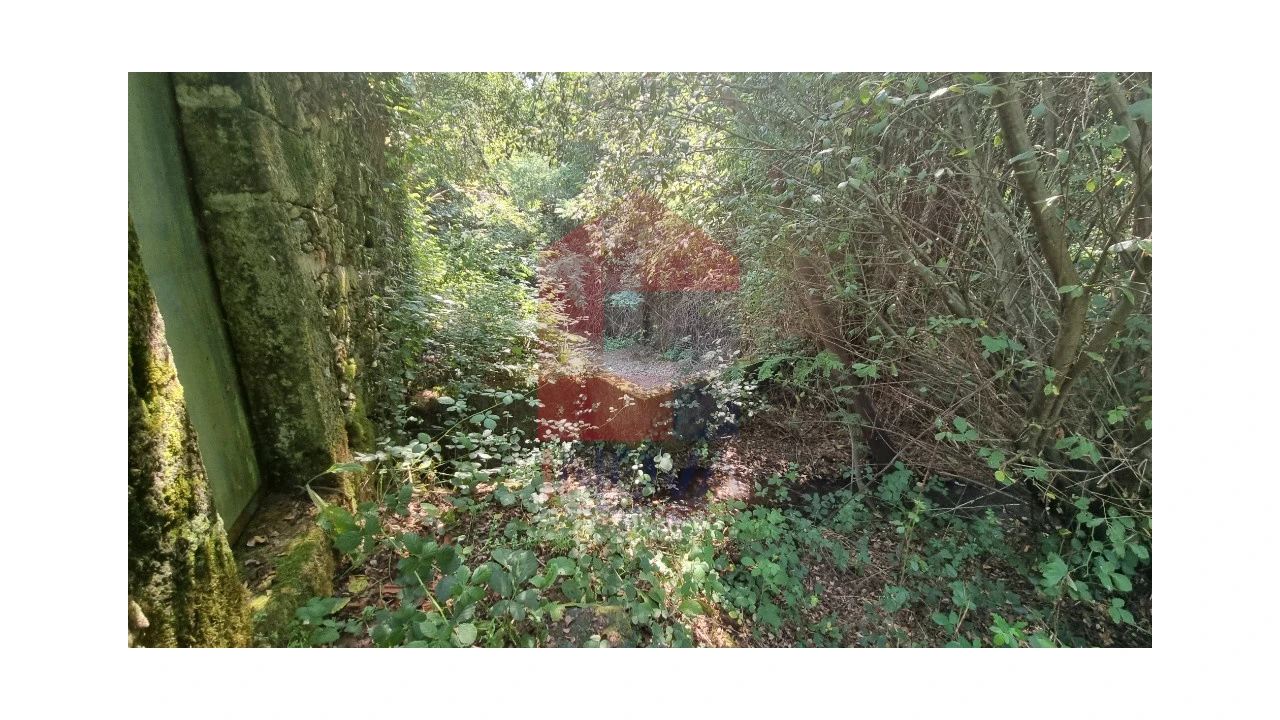 Moradia para Venda em Romarigães Foto 5