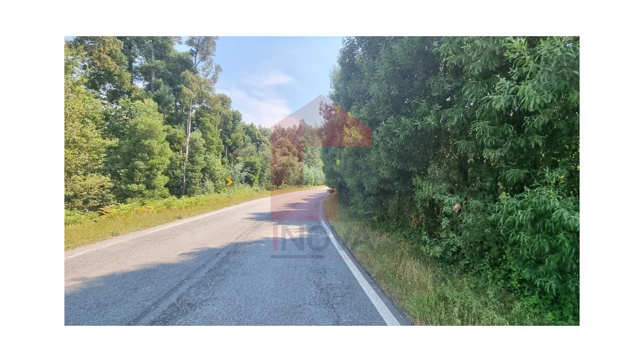 Moradia para Venda em Romarigães Foto 12