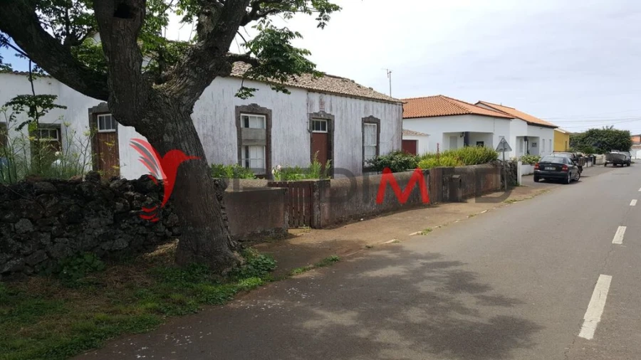 Moradia T4 para Venda em Guadalupe Foto 2