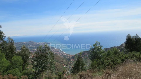 Terreno para Venda em Camara de Lobos