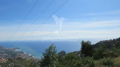 Terreno para Venda em Camara de Lobos