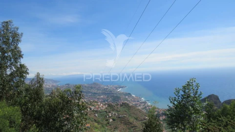 Terreno para Venda em Camara de Lobos