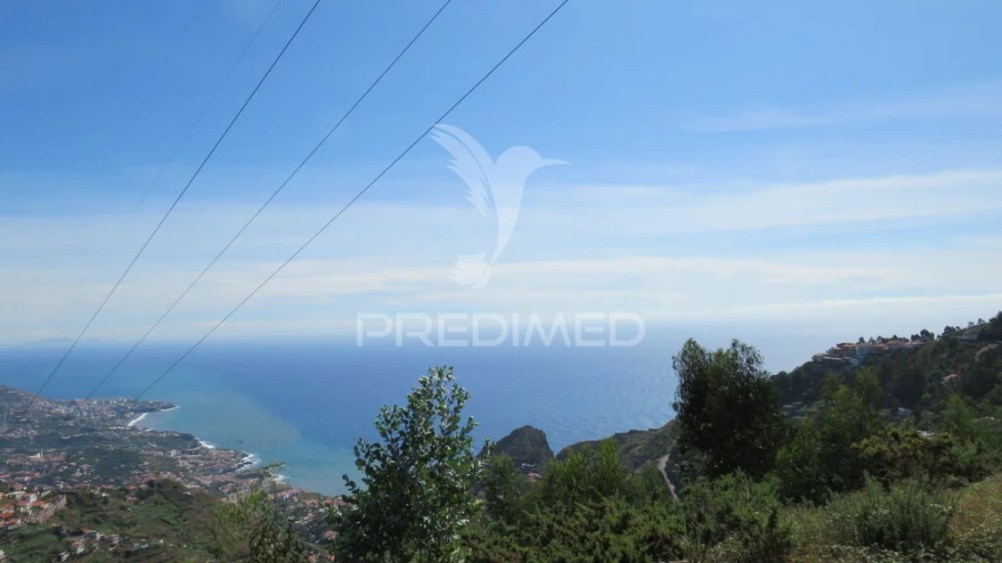 Terreno para Venda em Camara de Lobos Foto 3
