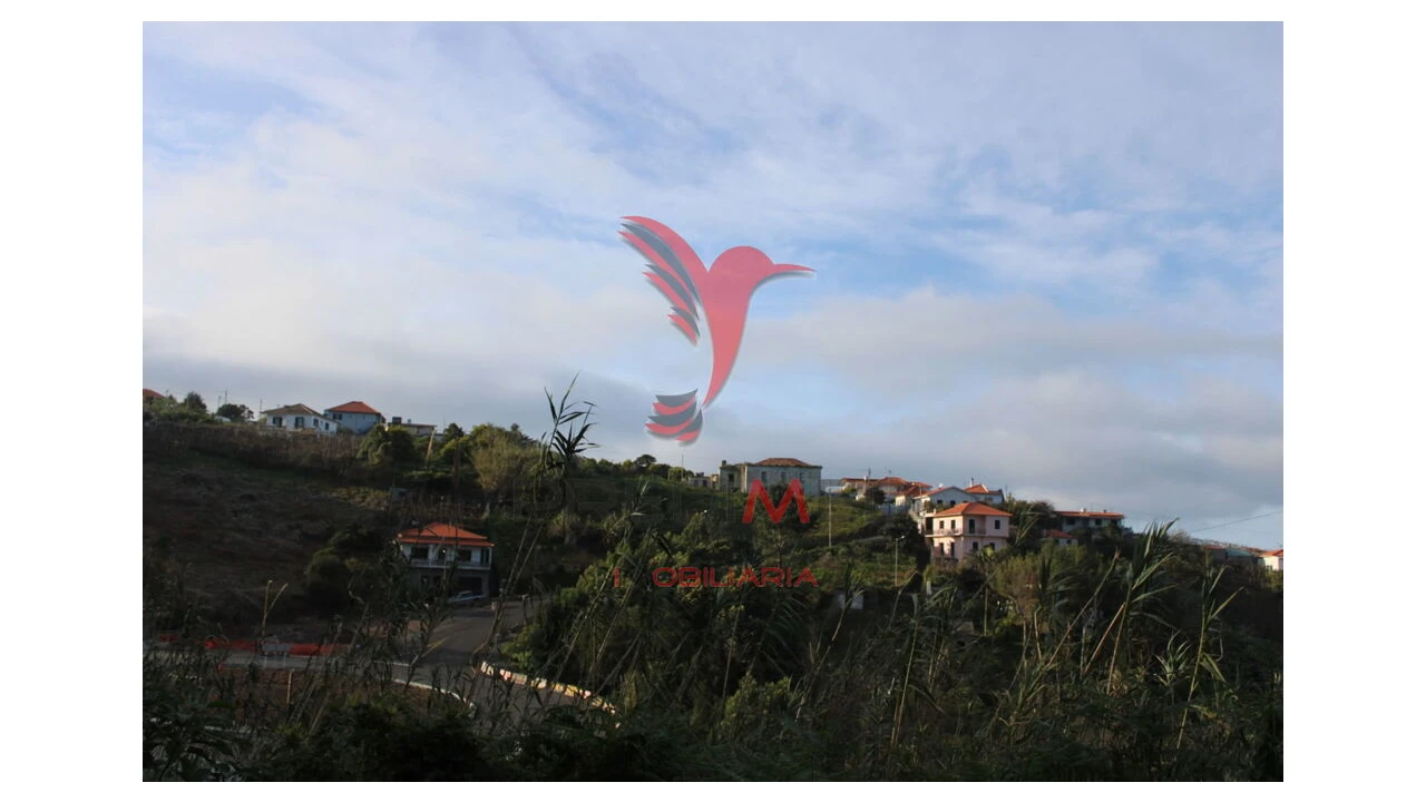 Moradia T6 para Venda em Arco de São Jorge Foto 3