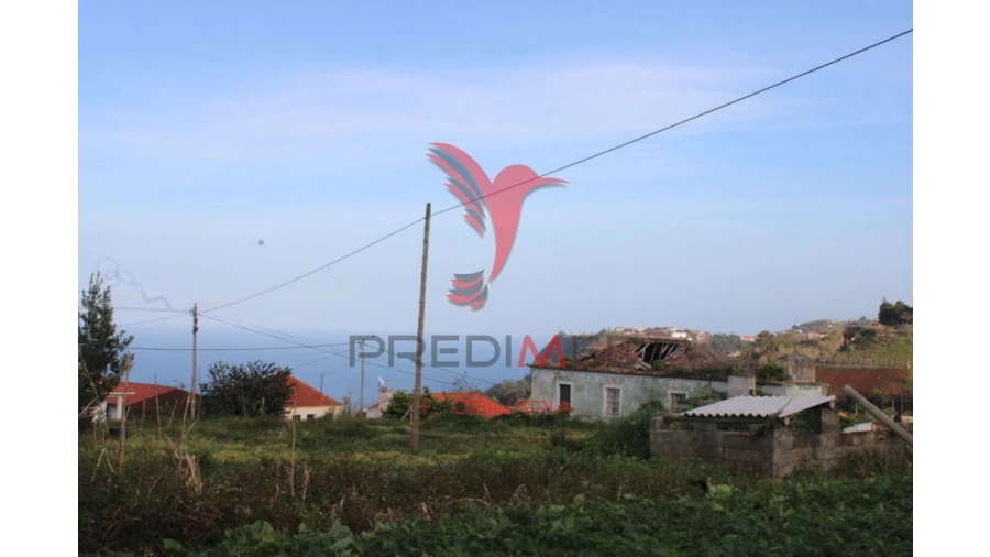 Moradia T6 para Venda em Arco de São Jorge Foto 5