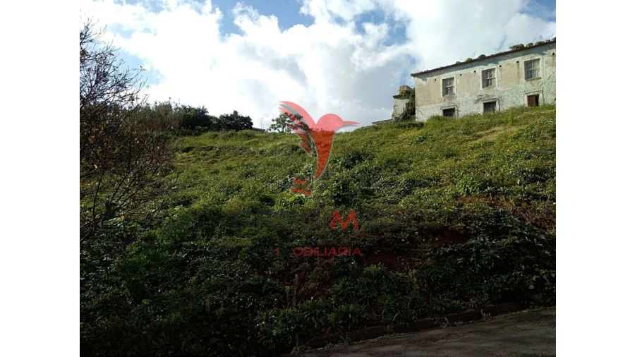 Moradia T6 para Venda em Arco de São Jorge Foto 8