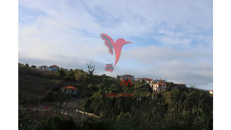 Moradia T6 para Venda em Arco de São Jorge Foto 3