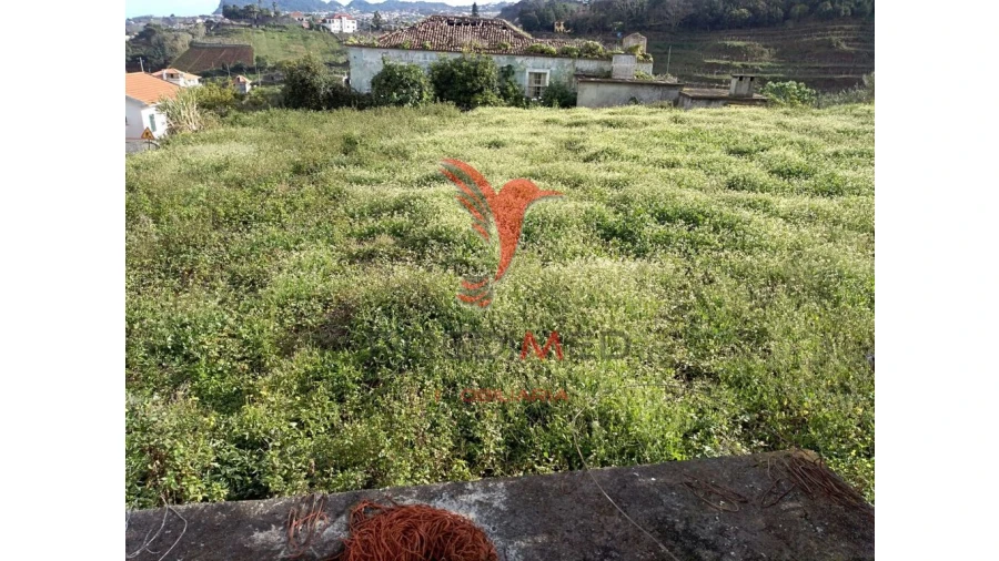 Moradia T6 para Venda em Arco de São Jorge Foto 7