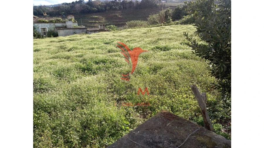 Moradia T6 para Venda em Arco de São Jorge Foto 9