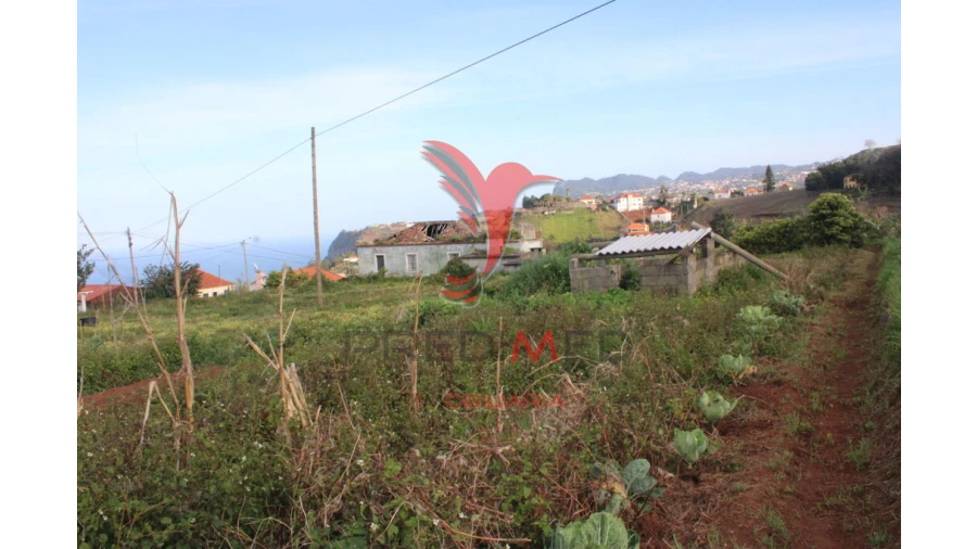 Moradia T6 para Venda em Arco de São Jorge Foto 4