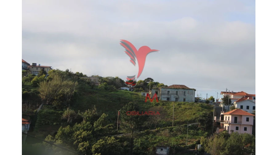 Moradia T6 para Venda em Arco de São Jorge Foto 1