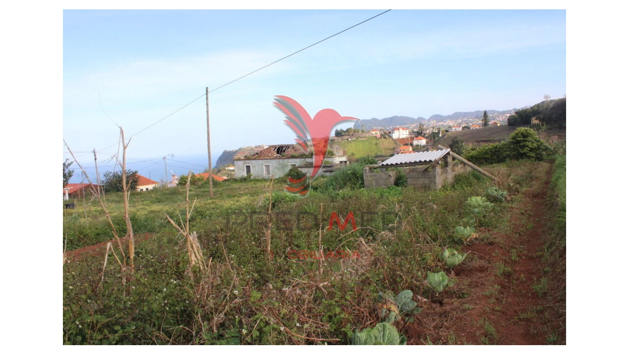 Moradia T6 para Venda em Arco de São Jorge Foto 4