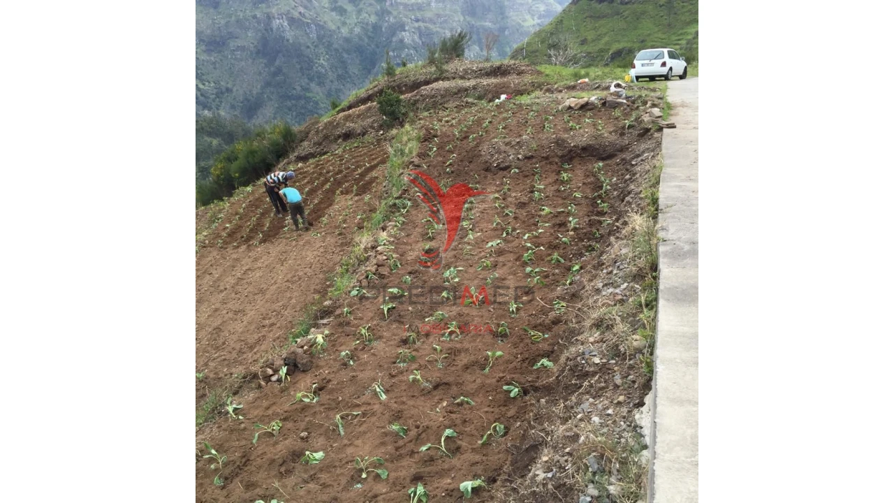 Terreno para Venda em Serra de Agua Foto 6