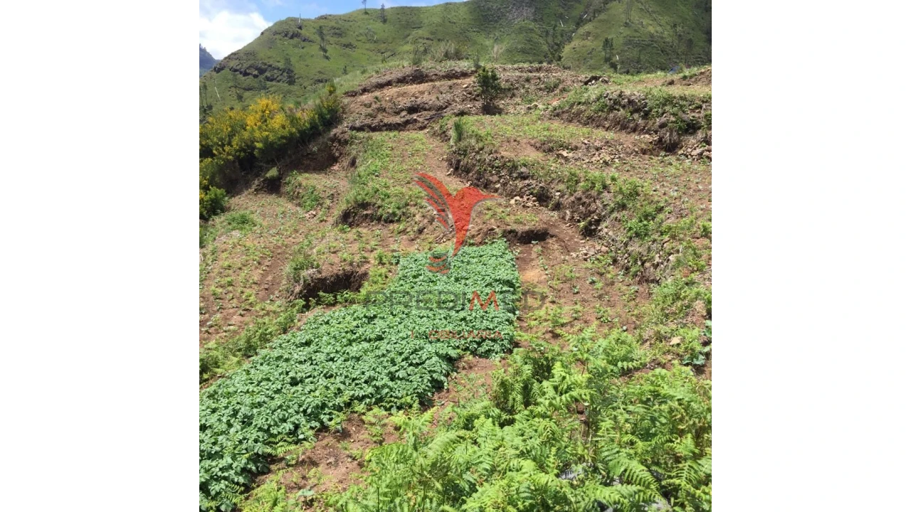 Terreno para Venda em Serra de Agua Foto 11