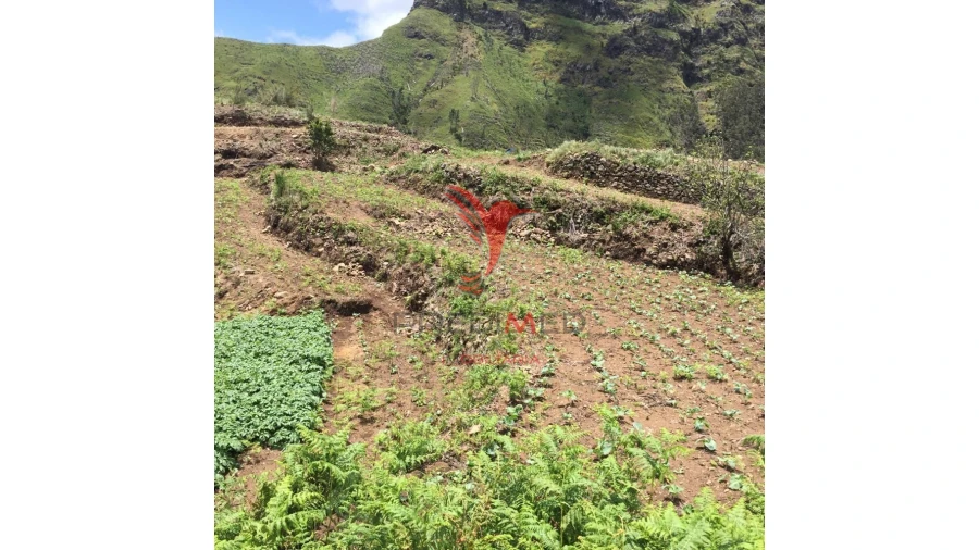 Terreno para Venda em Serra de Agua Foto 9