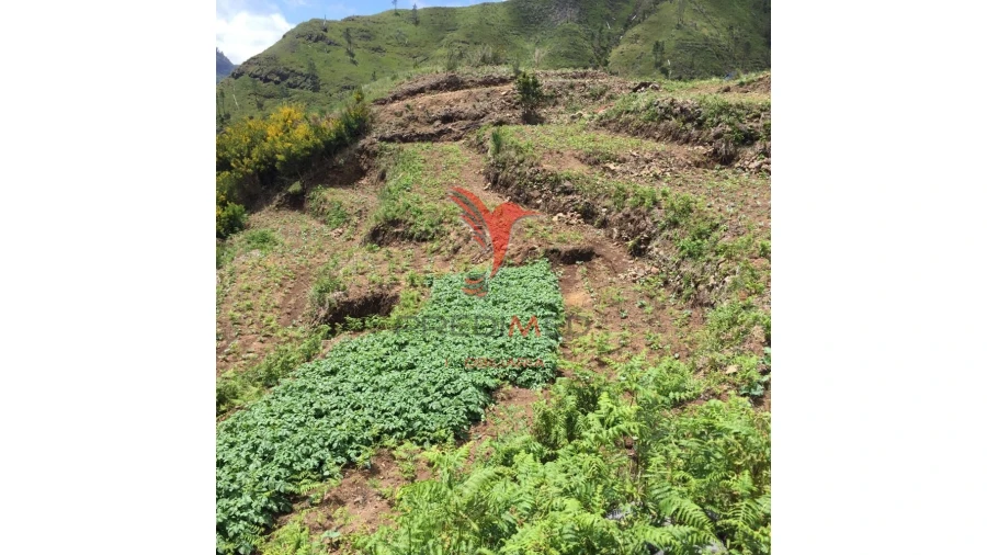Terreno para Venda em Serra de Agua Foto 11